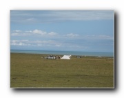 Click to enlarge this image